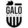 Galo Maringa